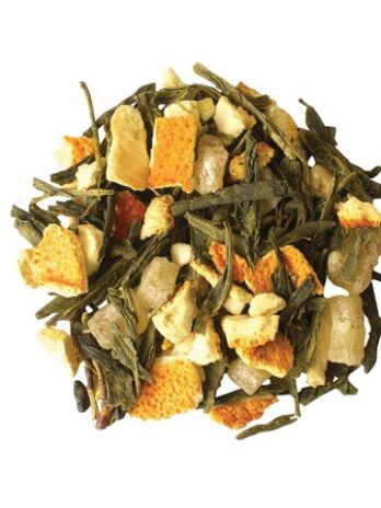 Sous le Soleil de Floride NOUVEAUTE